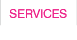 Our
                        Services button